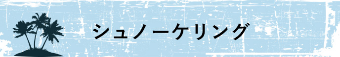 シュノーケリング